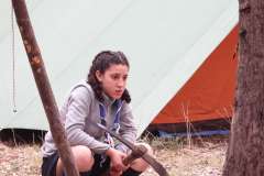 DSCN0906