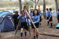 DSCN0953