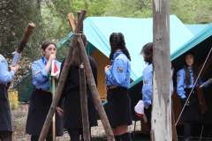 DSCN0960