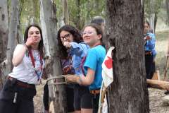 DSCN0972