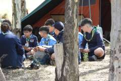 DSCN1196
