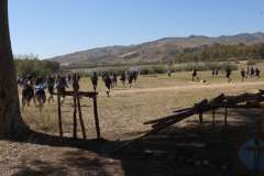 DSCN1257