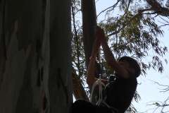 DSCN1338