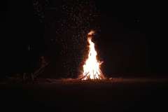 IMG_20240426_224712