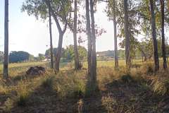 IMG_20240427_070330