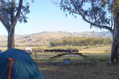 IMG_20240427_075832