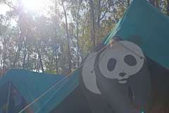 IMG_20240427_081909