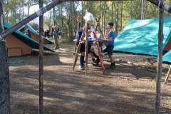 IMG_20240427_084445