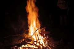 IMG_20240427_235849