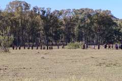 IMG_20240427_080650938