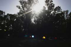 IMG_0586-w